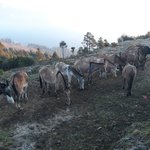 Photo taken by Graham W