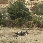 Photo taken by Leanne R