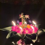 Photo taken by Bailey W