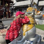 Photo taken by Steve B