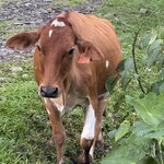 Photo taken by Carrie N