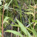 Photo taken by Kara H