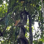 Photo taken by Kelly K