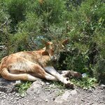 Photo taken by SARMA M