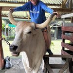 Photo taken by Randy H