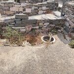 Photo taken by Sharon H