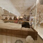 Photo taken by Sailesh P