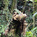 Photo taken by Donna G