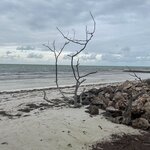 Photo taken by Imogen E