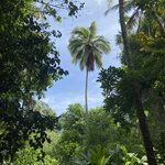 Photo taken by Thomas B