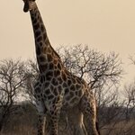 Photo taken by Paul B