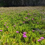 Photo taken by Amy W