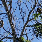 Photo taken by Adriene A