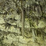 Photo taken by James N