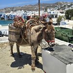 Photo taken by Candi S