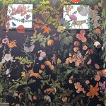 Photo taken by Margaret S