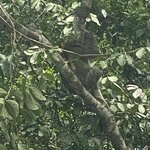 Photo taken by Kim L