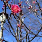 Photo taken by Reid S