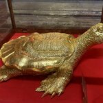 Photo taken by Joe S