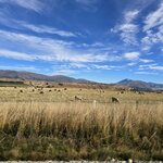 Photo taken by Mary K