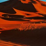 Photo taken by Adrien C