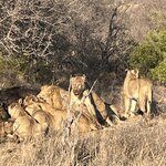 Photo taken by Janie W