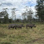 Photo taken by Gabrielle A