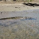 Photo taken by Garritt V