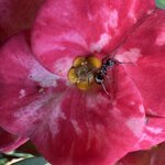 Photo taken by Mariah C