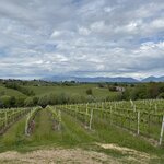 Photo taken by cassie f