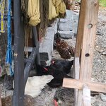 Photo taken by Tamara N