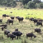 Photo taken by rhonda c