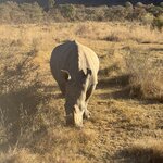 Photo taken by Ingenie D