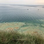 Photo taken by Laurie W