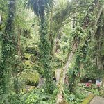 Photo taken by Valerie K