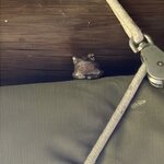 Photo taken by Crystall P