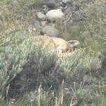 Photo taken by Sharon B