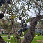 Photo taken by Brian M