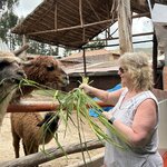 Photo taken by Lori S