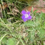 Photo taken by Lauri F