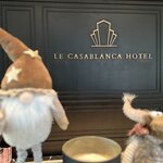 Photo taken by Zhou Z