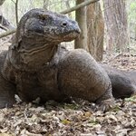 Photo taken by Nancy P