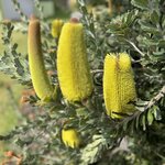 Photo taken by Amy Z