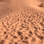 Desert tour in Wadirum | Photo taken by Thanya Y