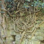 Photo taken by Marcia B