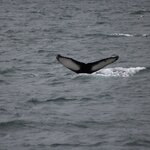 Photo taken by Amanda Z