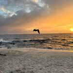 Photo taken by Mark A