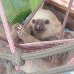 Photo taken by Claudia S