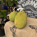 Photo taken by Julie H