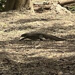 Photo taken by Michael L